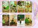 Карти Таро Затишне Таро Відьми - Cozy Witch Tarot 2131574901 фото 8