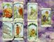 Таро Эфирных Видений Ethereal Visions Tarot 1726238932 фото 5